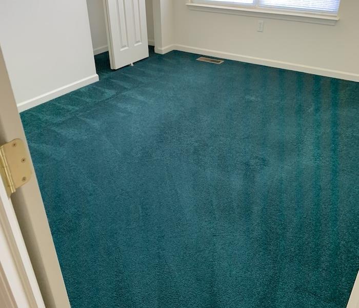 Cleaned green carpet in a room with white walls